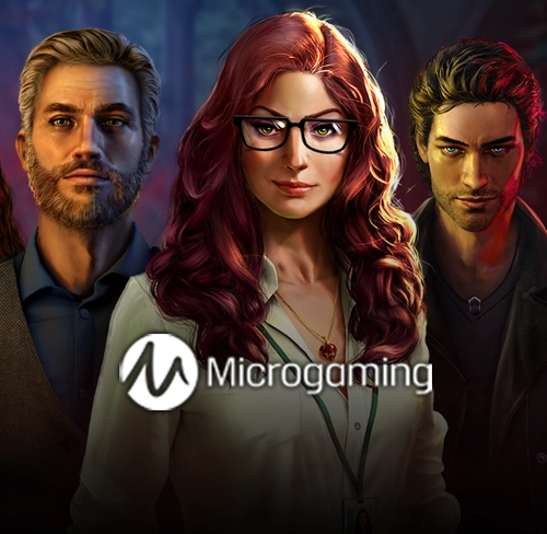 마이크로게이밍 슬롯